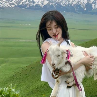披荆斩棘第五季